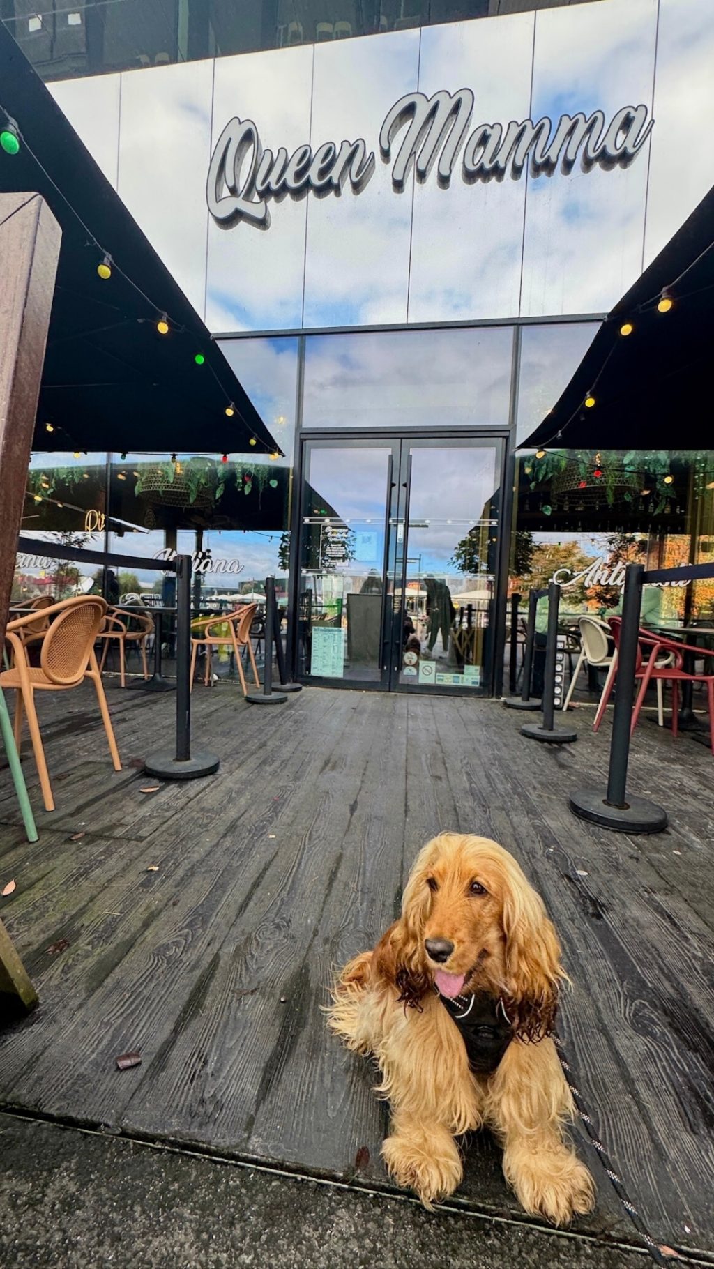 Instagram post from queen_mamma_pizza. This post is in position 1.