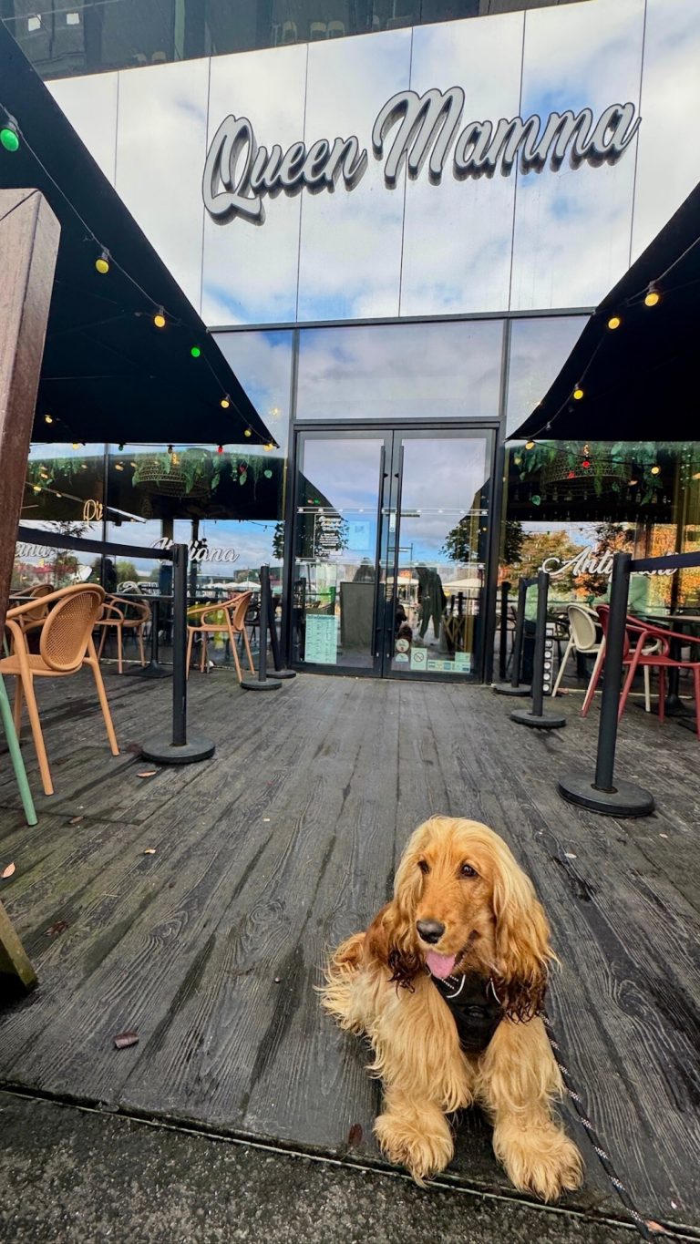 Instagram post from queen_mamma_pizza. This post is in position 2.